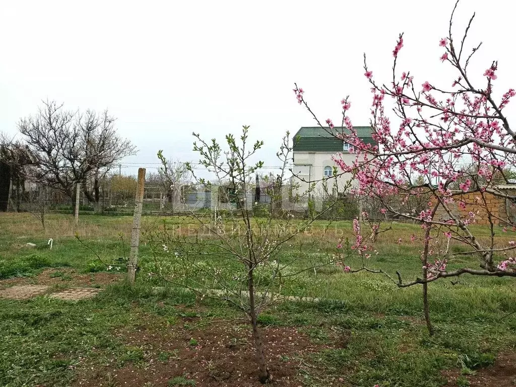 Участок в посёлок Кача, улица Братьев Глинки (5.5 м) - Фото 1