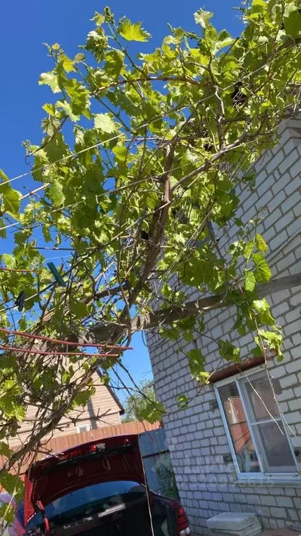 Дом в Волгоградская область, Волжский Трубник СНТ, ул. 3-я (48 м) - Фото 2