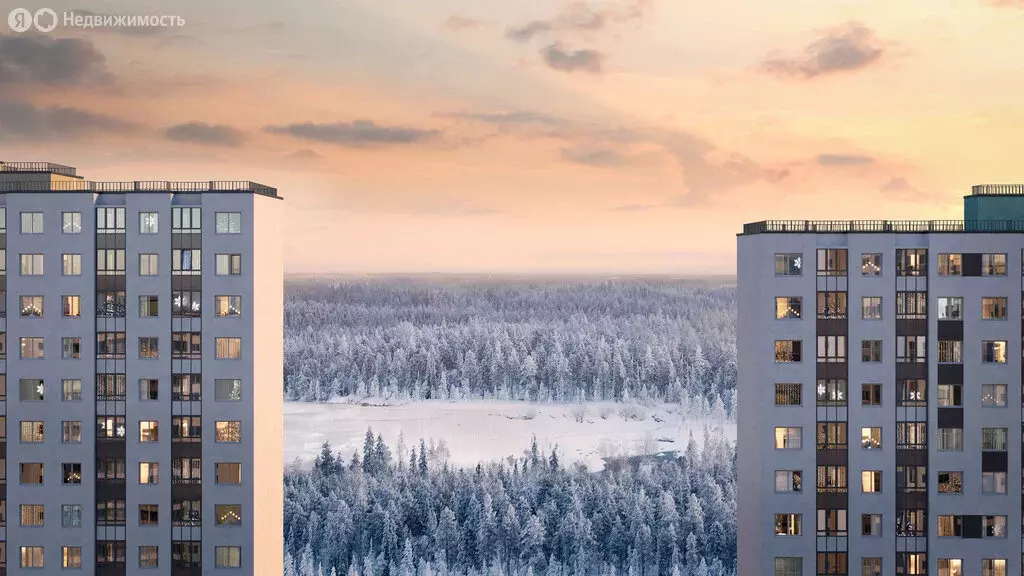 1-комнатная квартира: Санкт-Петербург, Пейзажная улица, 24к1 (31 м) - Фото 1