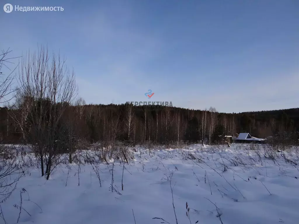 Дом в Нижнесергинский район, Кленовское сельское поселение, посёлок .,  Купить дом Контугановский, Нижнесергинский район, ID объекта - 50011632259