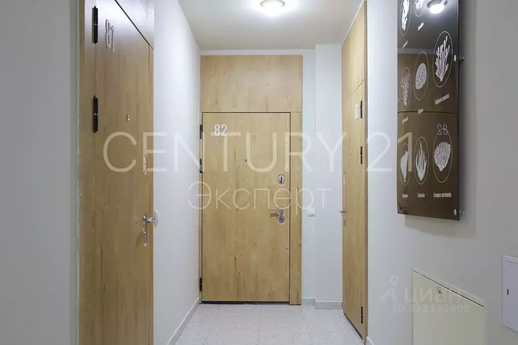 Студия Калининградская область, Пионерский Октябрьская ул., 6Б (30.0 ... - Фото 1