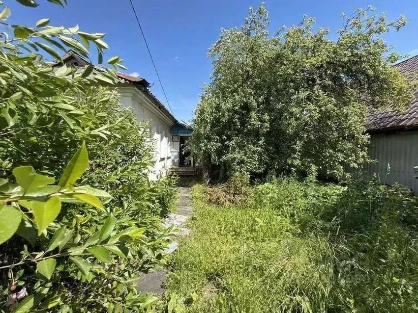 Дом в Калужская область, Сухиничи ул. Гастелло, 19 (77 м) - Фото 2