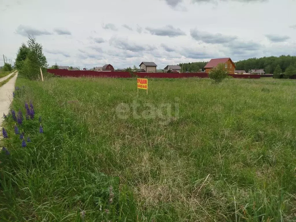 Участок в Владимирская область, Петушинское муниципальное образование, ... - Фото 1