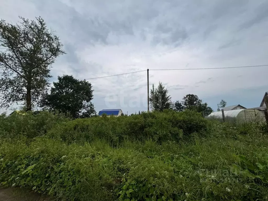 Участок в Псковская область, Остров Советская ул. (13.69 сот.) - Фото 1