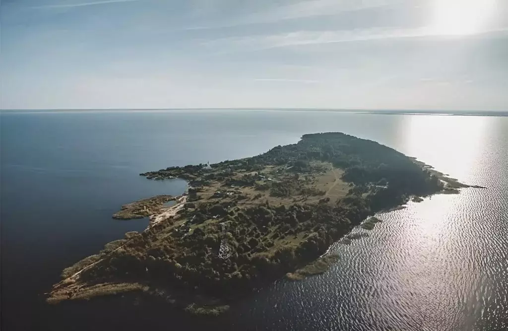 Участок в Псковская область, Псковский район, Залитских островов тер., ... - Фото 1