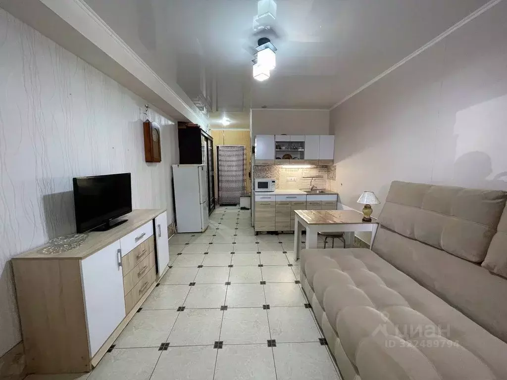 Студия Краснодарский край, Анапа Владимирская ул., 154к1 (24.0 м) - Фото 1