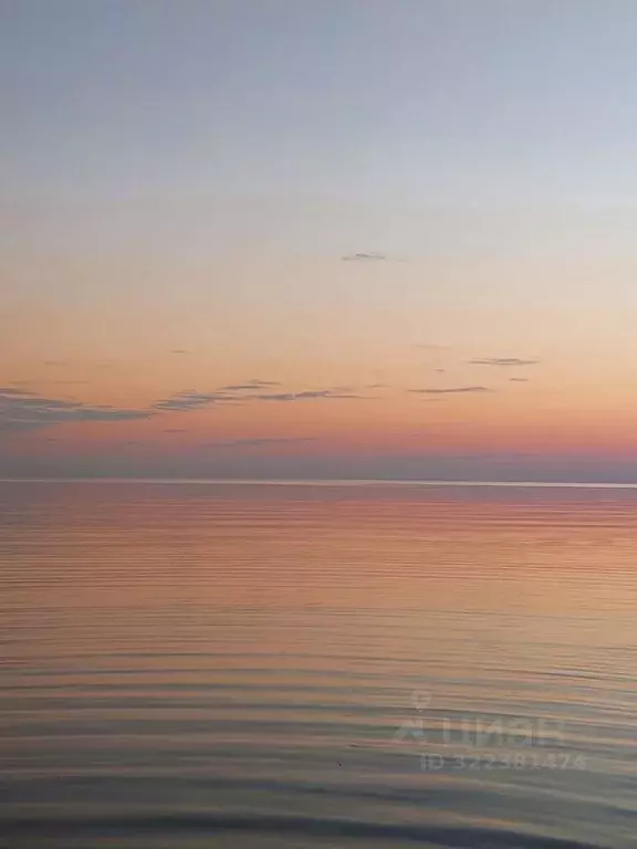 Дом в Псковская область, Гдовский район, Спицинская волость, д. ... - Фото 2