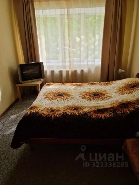 1-к кв. Свердловская область, Екатеринбург пер. Красный, 8 (29.0 м) - Фото 2