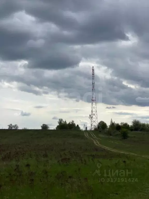 Участок в Брянская область, Жуковский муниципальный округ, с. Речица ... - Фото 0
