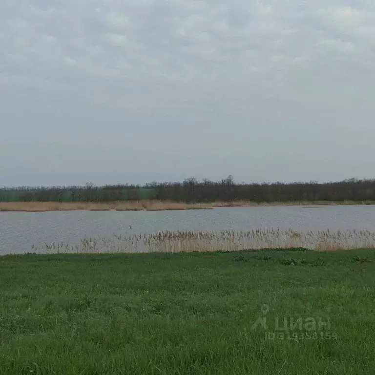 Участок в Краснодарский край, Щербиновский район, Новощербиновская ... - Фото 1