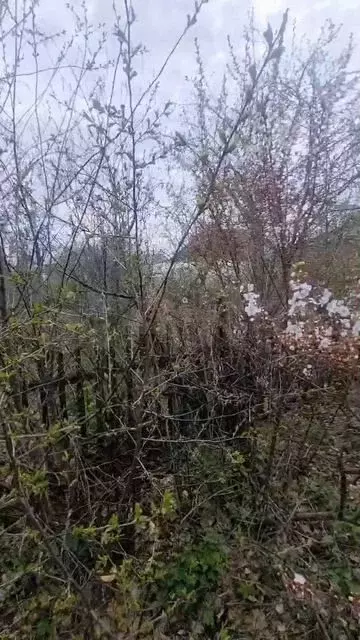 Дом 65 м на участке 6 сот. - Фото 1
