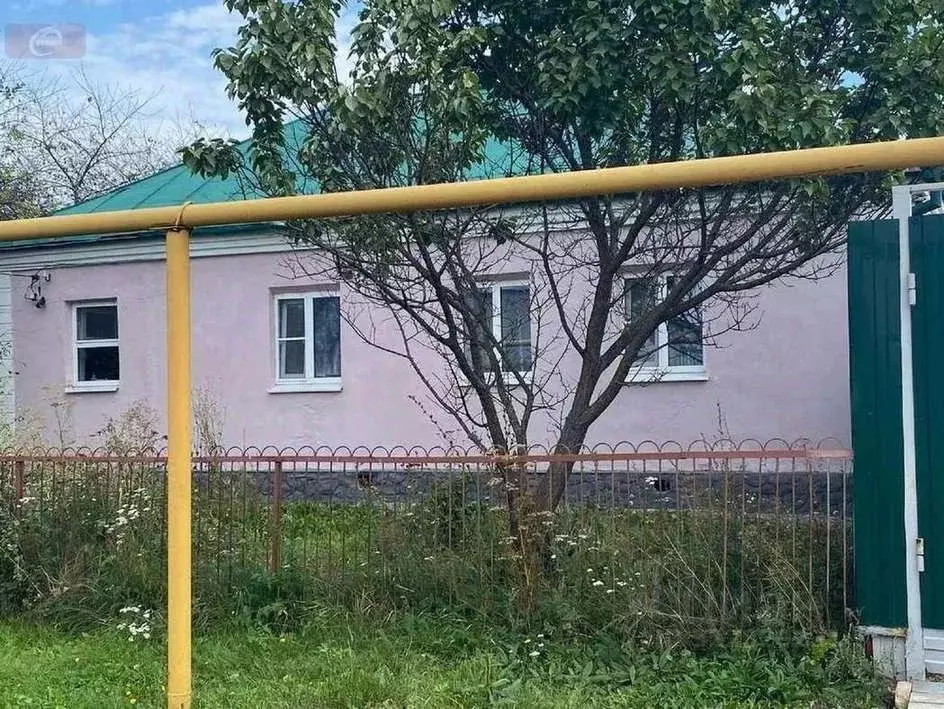 Дом в Воронежская область, с. Новая Усмань ул. Луговая, 61 (60 м) - Фото 2