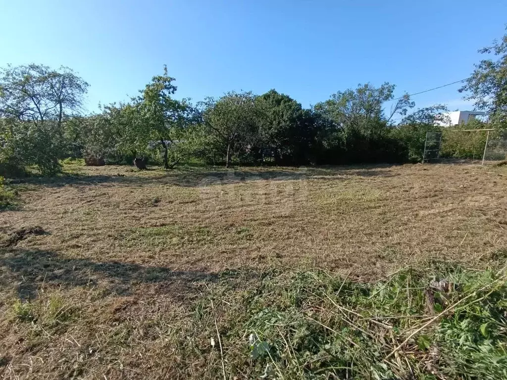 Участок в Санкт-Петербург Дачное Балтийского завода СНТ, 3-я линия, 2 ... - Фото 1