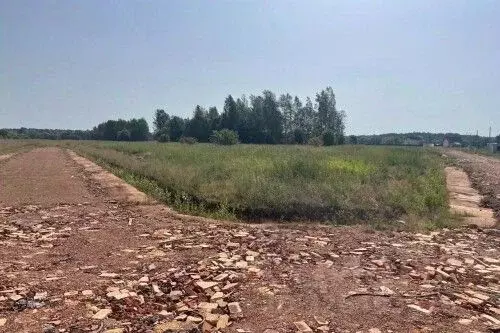 Участок в Новгородская область, Новгородский район, Савинское с/пос, ... - Фото 1