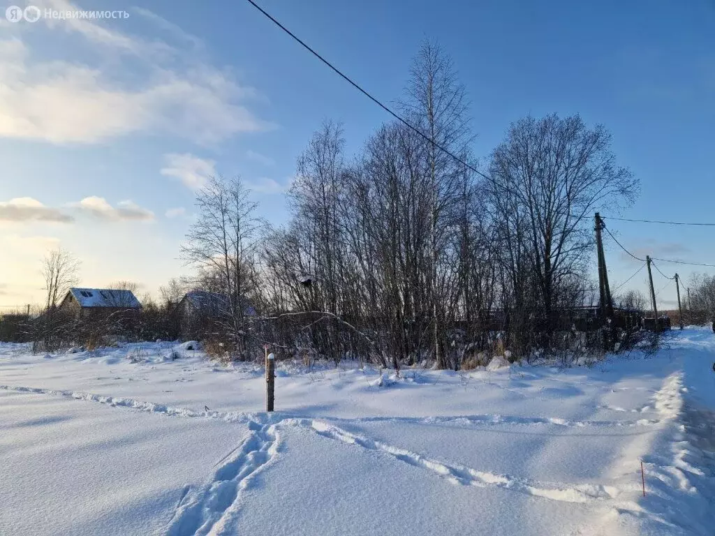 Участок в Тихвин, Ланская улица (10 м) - Фото 1