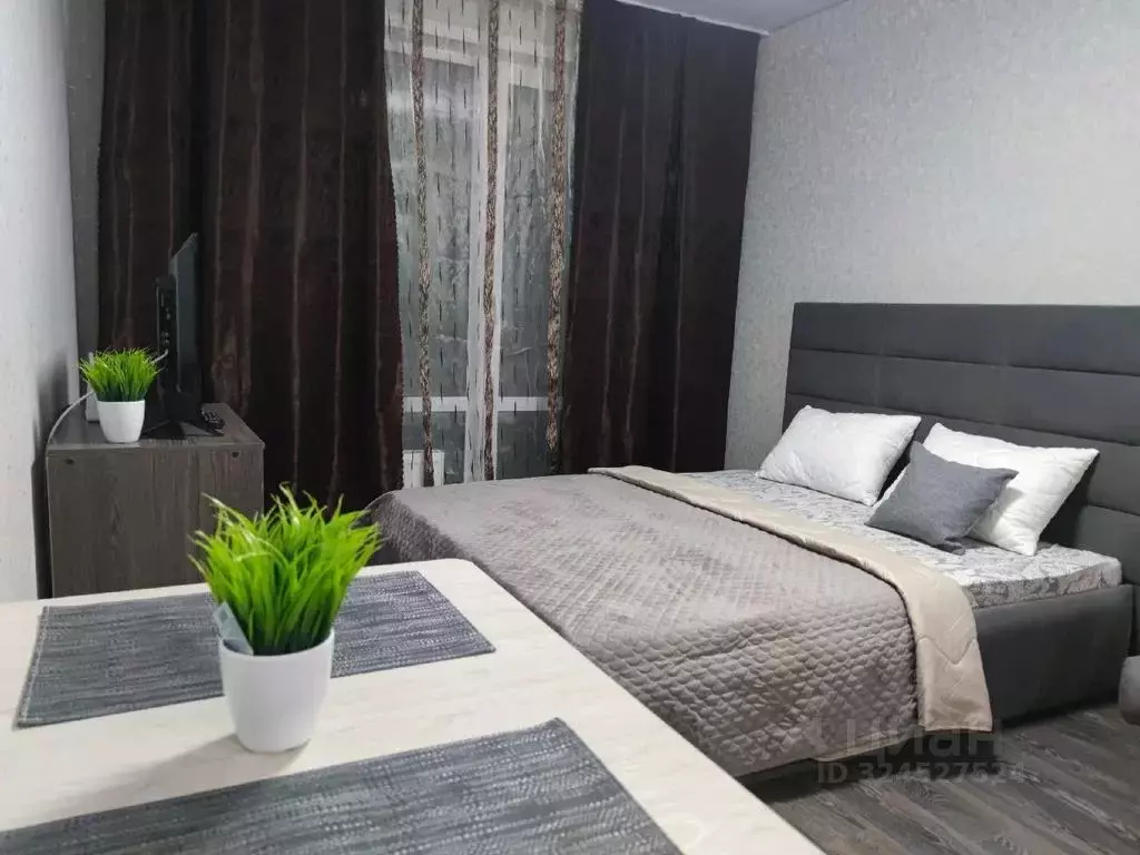 Студия Алтайский край, Барнаул Власихинская ул., 65Ак3 (26.0 м) - Фото 2