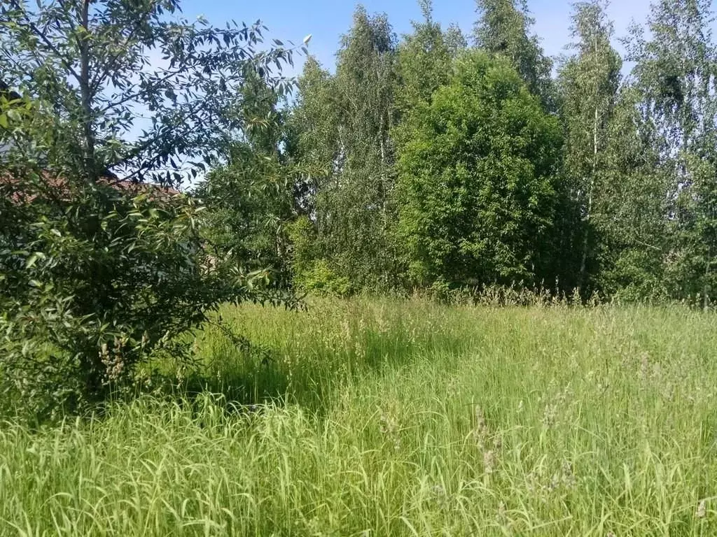 Участок в Московская область, Одинцовский городской округ, д. ... - Фото 1