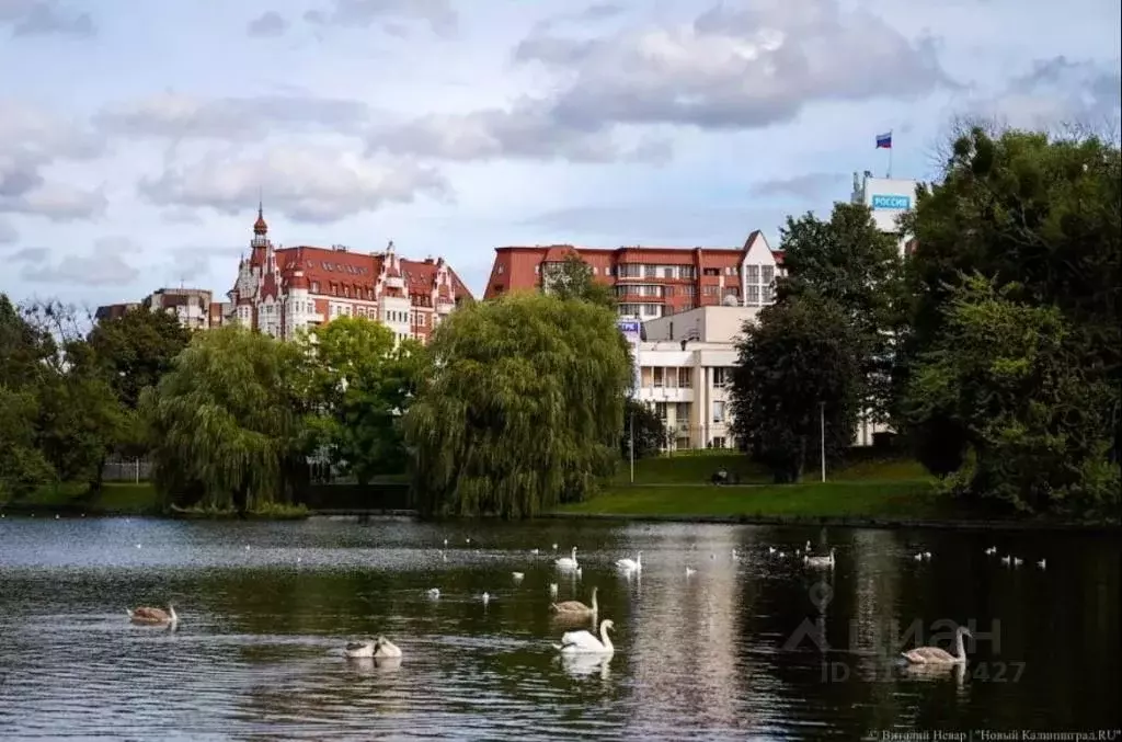 1-к кв. Калининградская область, Калининград Клиническая ул., 19А ... - Фото 1