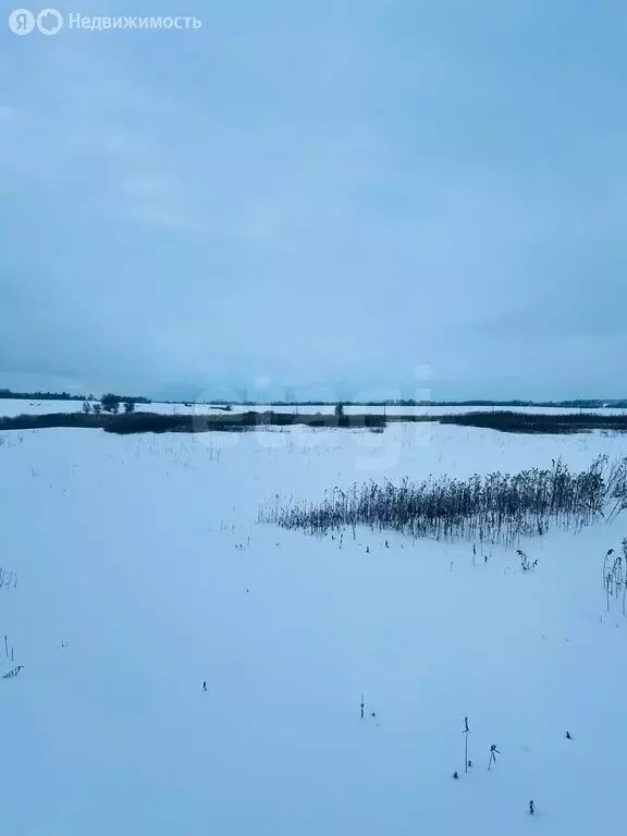 Участок в Калининградская область, Гвардейский муниципальный округ, ... - Фото 2