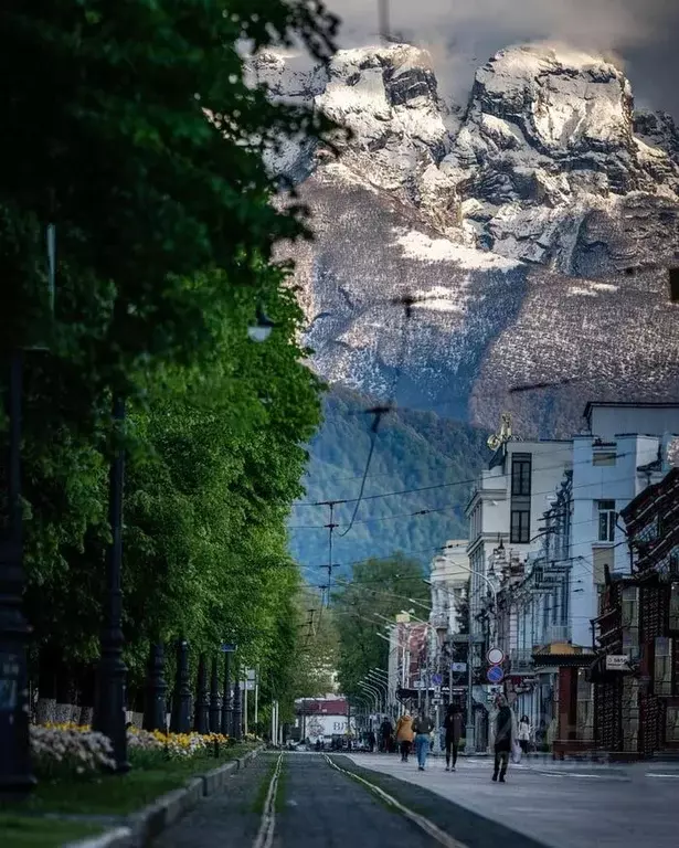 Студия Северная Осетия, Владикавказ просп. Мира, 36 (25.0 м) - Фото 2