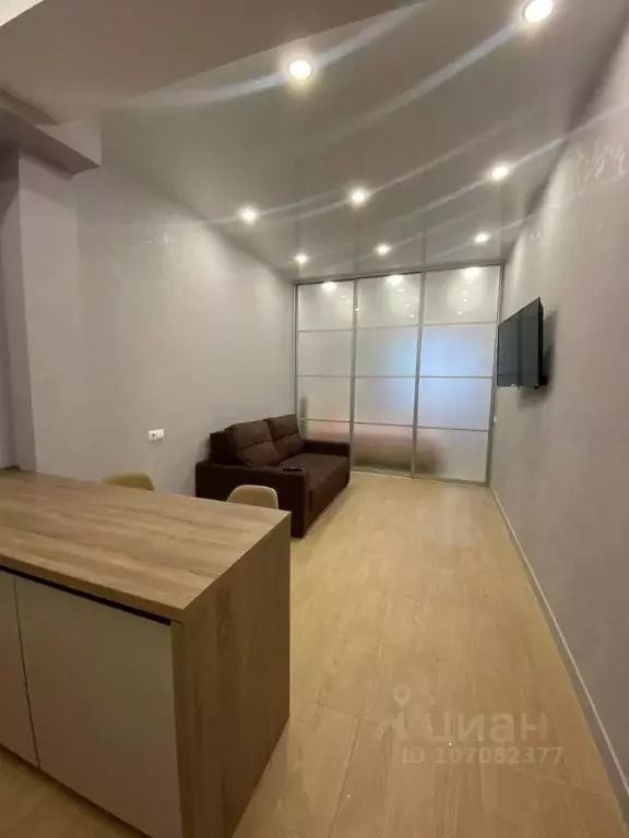 Студия Краснодарский край, Сочи ул. Ленина, 288 (30.0 м) - Фото 0