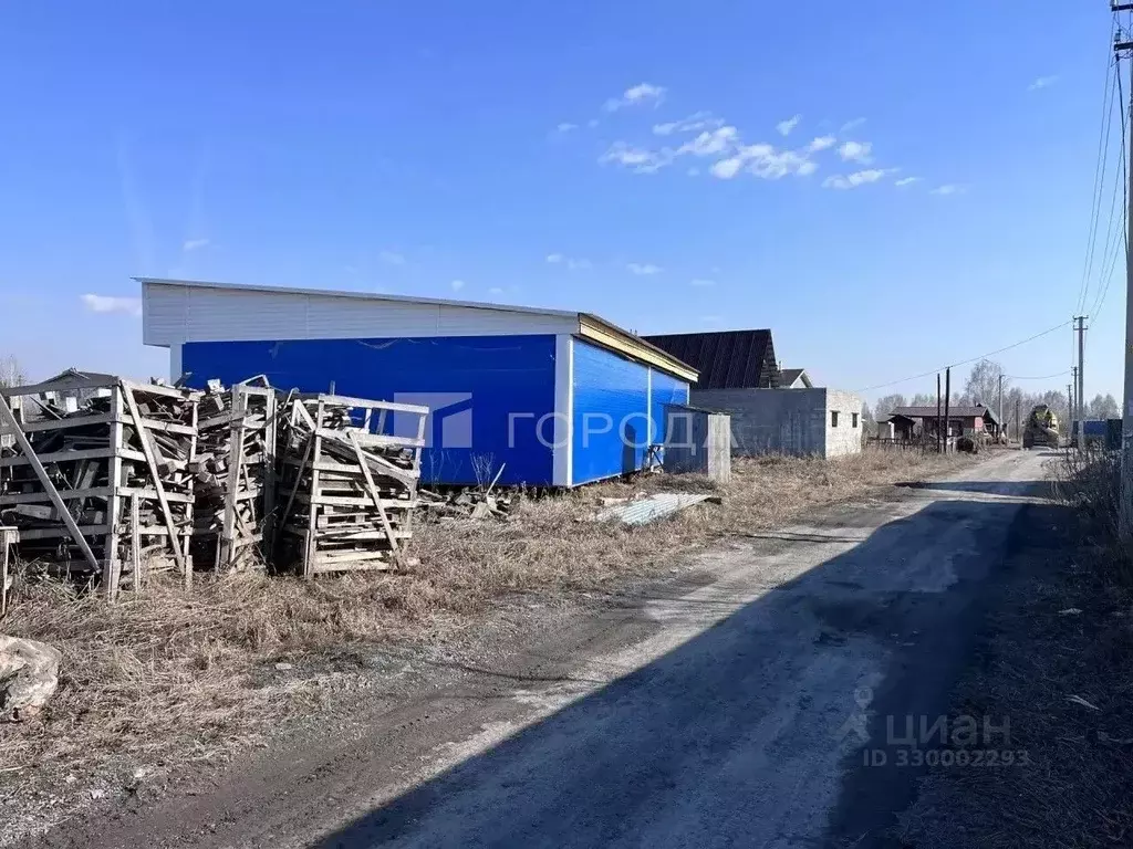 Участок в Новосибирская область, Новосибирский район, Толмачевский ... - Фото 2
