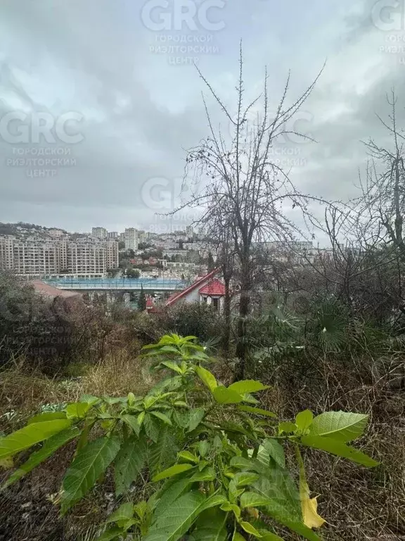 Участок в Краснодарский край, Сочи Новый Сочи мкр, ул. Калужская (4.5 ... - Фото 2