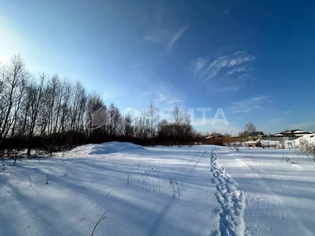 Участок в Тюменская область, Тюменский район, д. Пышминка Молодежная ... - Фото 0