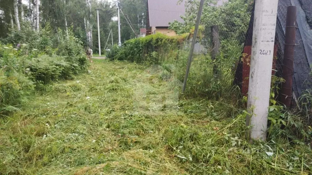 Дом в Ярославская область, Ярославский муниципальный округ, Красный ... - Фото 2