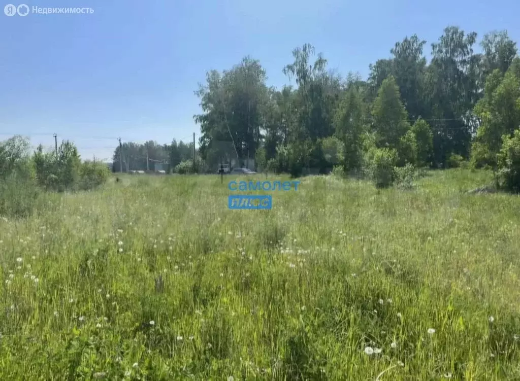 Участок в Новосибирский район, Берёзовский сельсовет, ТСН Тандем, ... - Фото 1