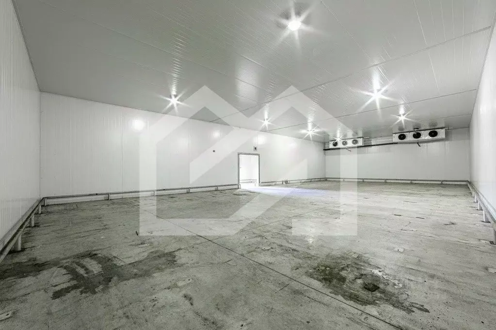 Производственное помещение в Московская область, Раменское ул. ... - Фото 1