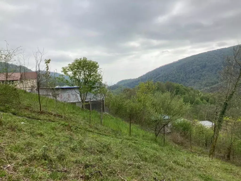 Участок в Краснодарский край, Сочи Хоста жилрайон,  (12.0 сот.) - Фото 1