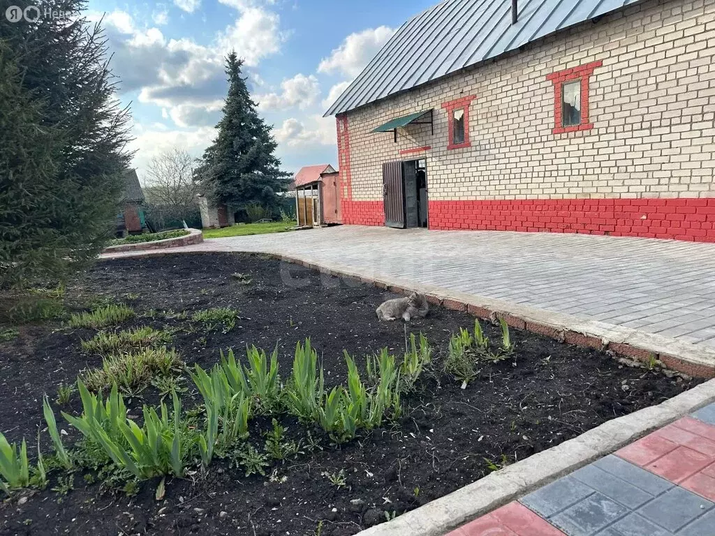 Дом в деревня Карасевка, Озёрная улица (50 м) - Фото 2