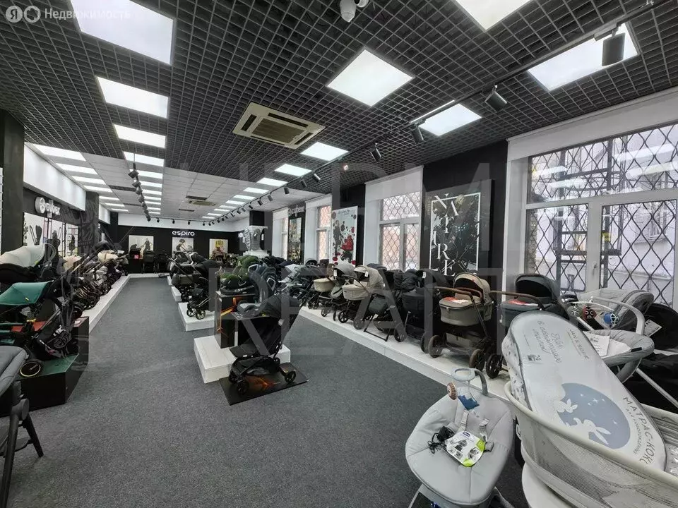 Помещение свободного назначения (281 м) - Фото 1