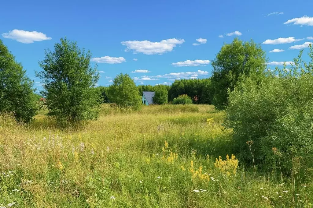 Участок в Тульская область, Ясногорский район, Ревякинское с/пос, с. ... - Фото 2