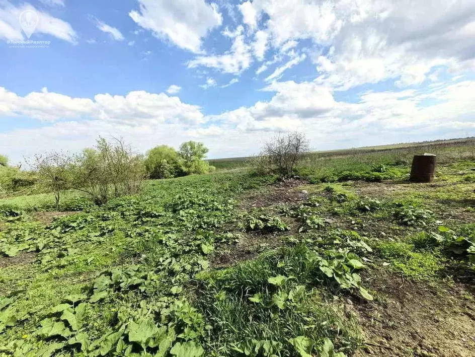 Дом в Рязанская область, Михайловский муниципальный округ, д. Кукуй 33 ... - Фото 2