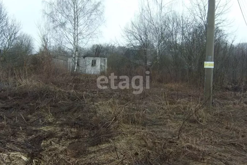 Участок в Брянская область, Брянский район, Снежское с/пос, с. ... - Фото 1