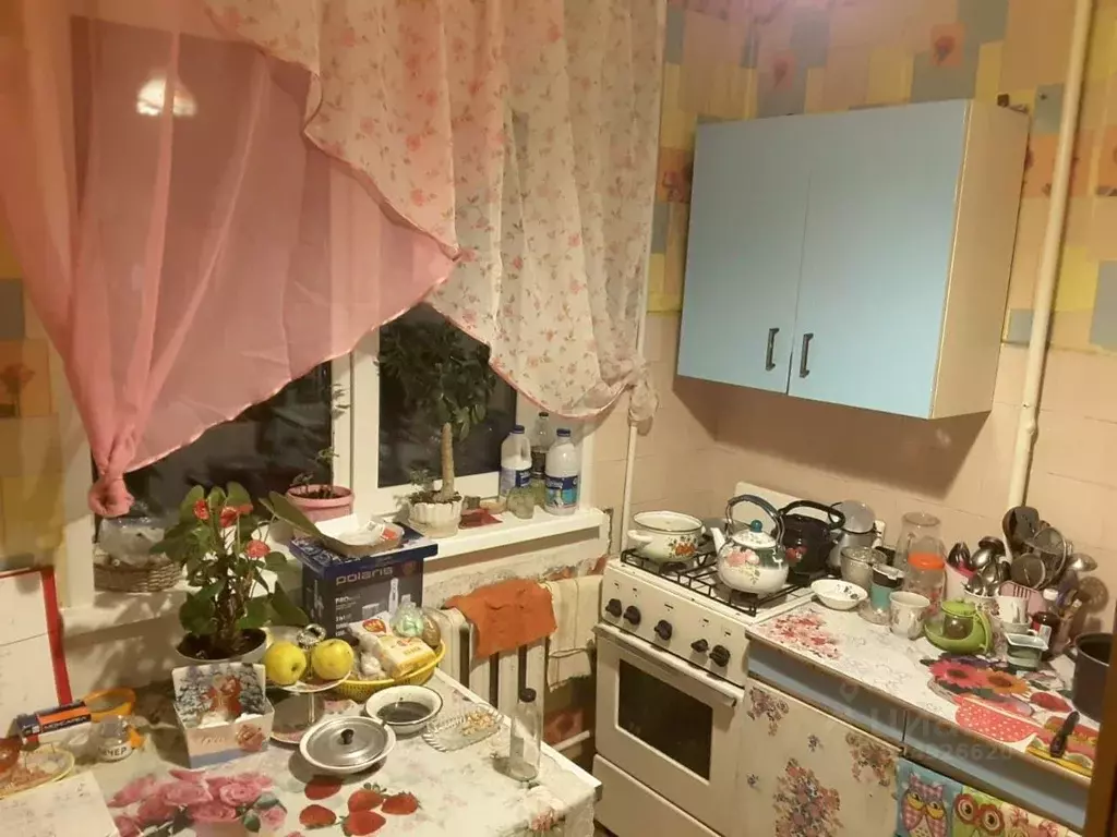 1-к кв. Орловская область, Орел ул. Игнатова, 35 (31.0 м) - Фото 2