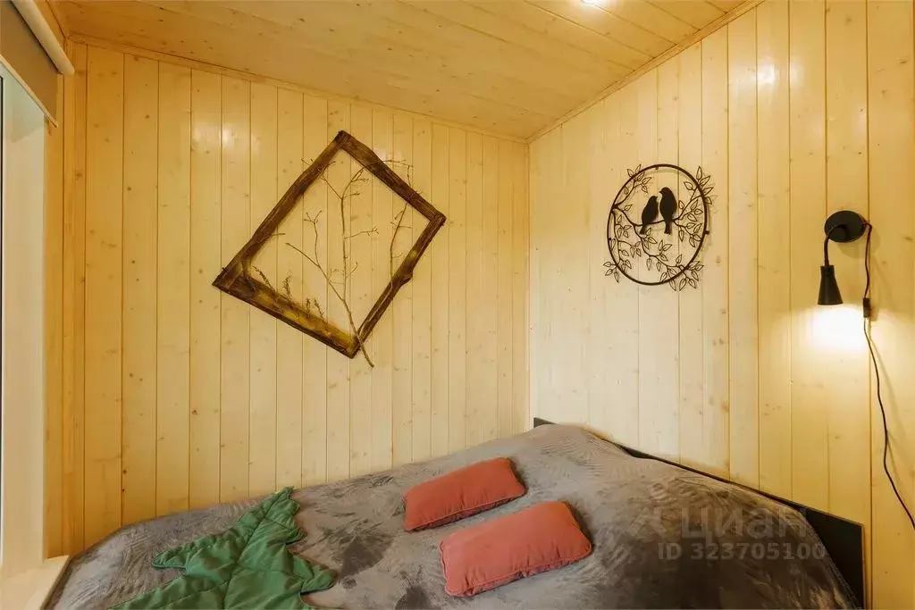 Дом в Нижегородская область, Бор  (34 м) - Фото 2