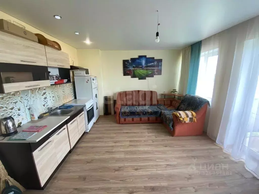 Студия Калужская область, Боровский муниципальный округ, д. Кабицыно ... - Фото 2