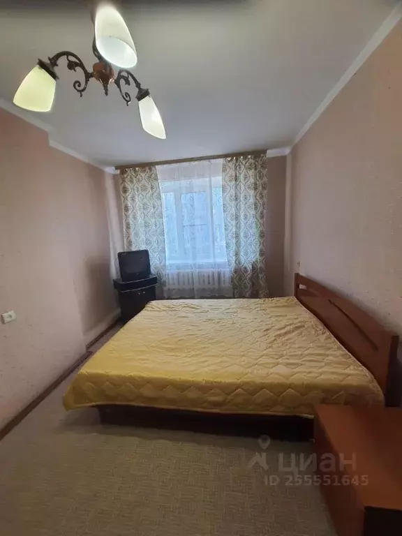 3-к кв. Рязанская область, Рязань ул. Чапаева, 64 (85.0 м) - Фото 2