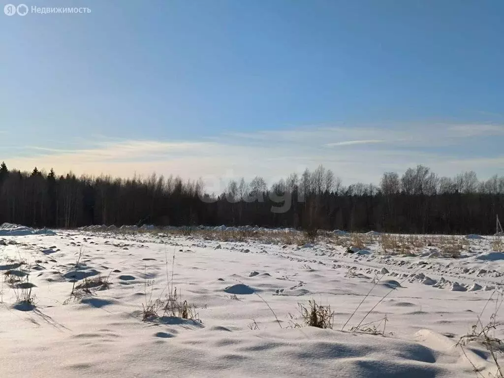 Участок в Заневское городское поселение, посёлок при железнодорожной ... - Фото 1