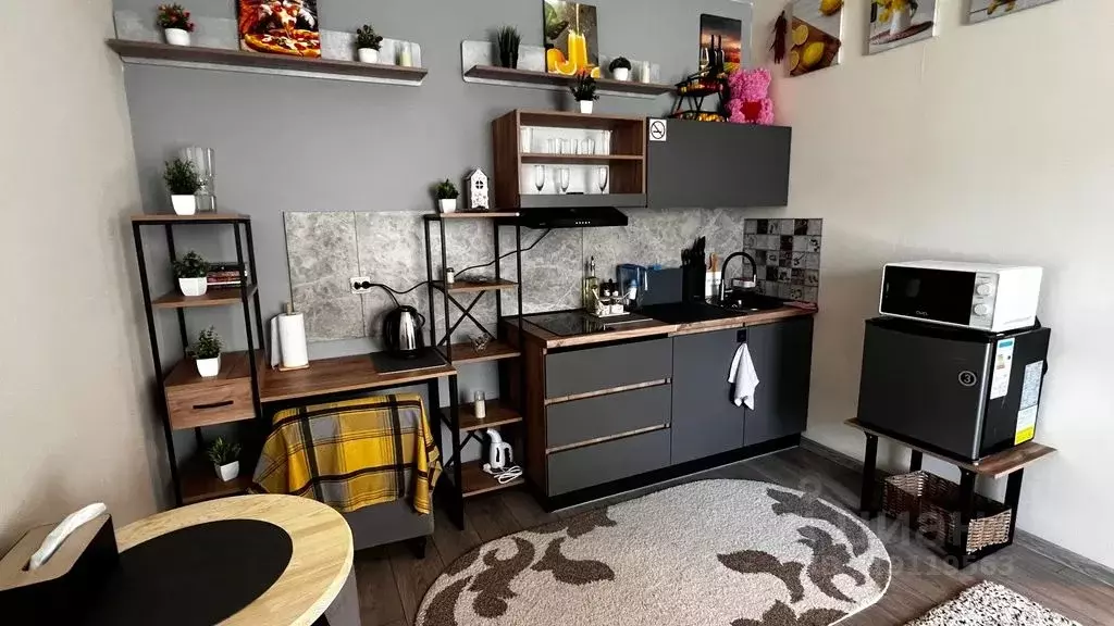 Студия Ленинградская область, Всеволожский район, Кузьмоловский пгт ... - Фото 2