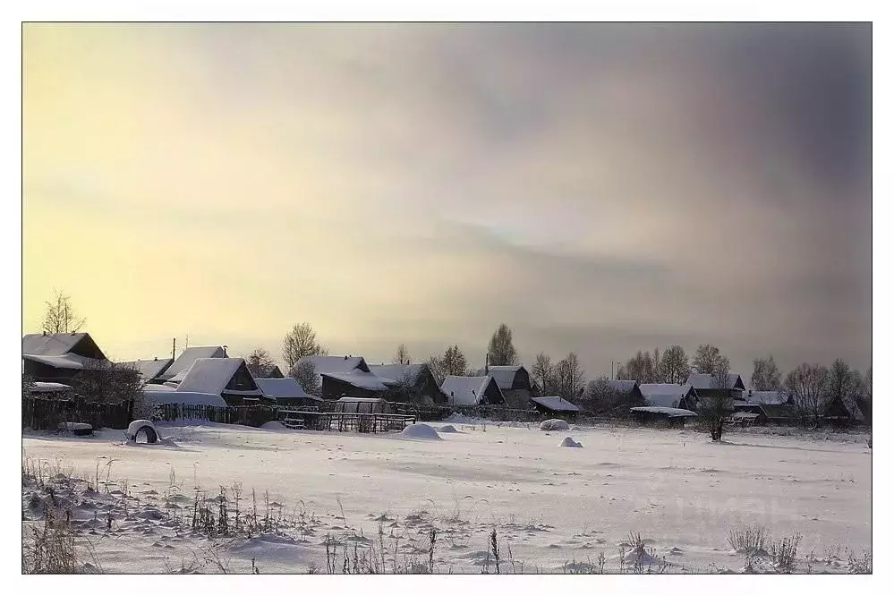 Участок в Татарстан, Елабужский район, Танайское с/пос, д. Колосовка  ... - Фото 1