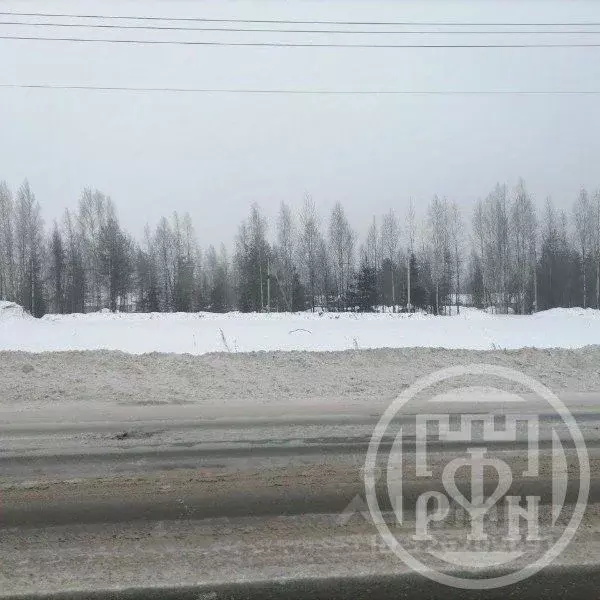 Участок в Ленинградская область, Всеволожский район, Агалатовское ... - Фото 1