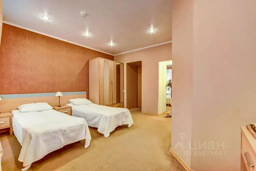 Комната Санкт-Петербург Караванная ул., 11/64 - Фото 2