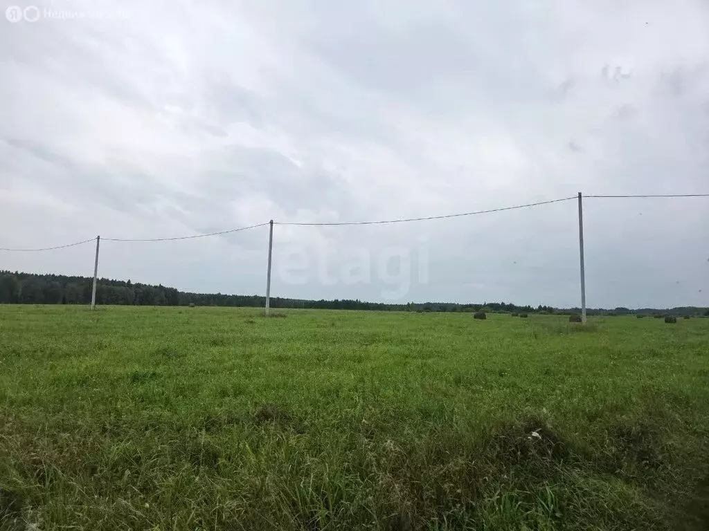 Участок в Усть-Ницинское сельское поселение, деревня Ермолина (100 м) - Фото 2