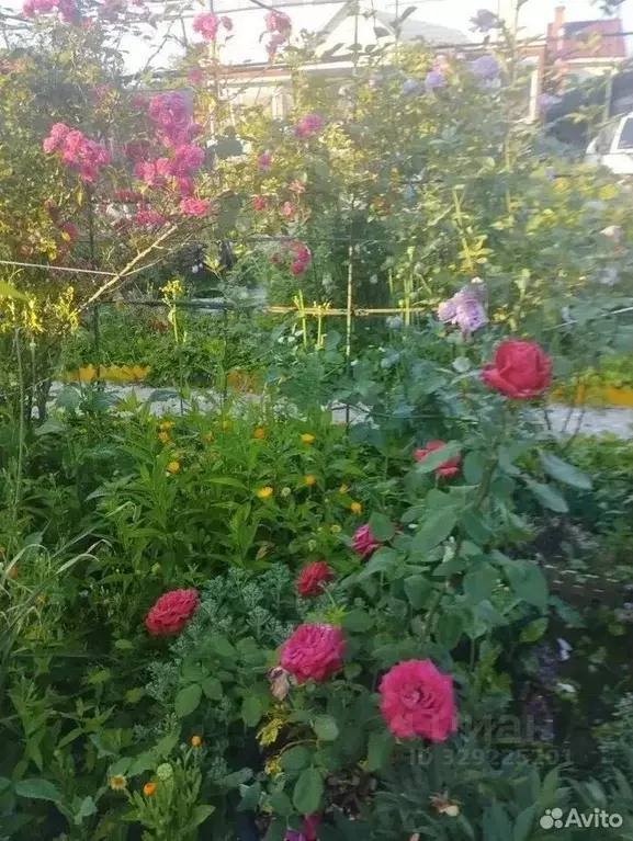 Участок в Московская область, Подольск Салют-2 СНТ,  (6.0 сот.) - Фото 2