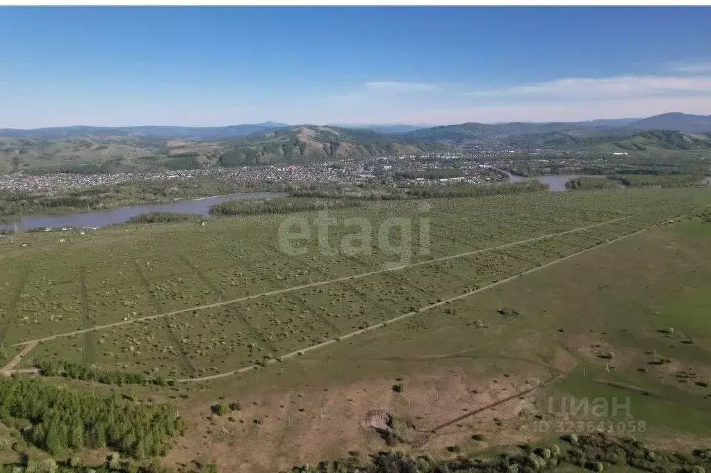 Участок в Алтайский край, Алтайский район, Айский сельсовет, ... - Фото 1