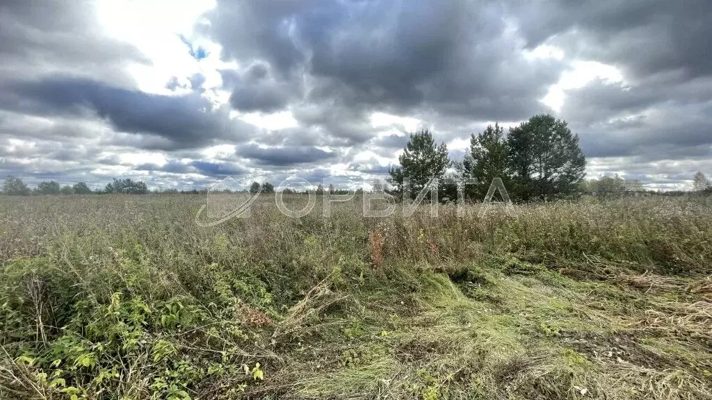 Участок в Свердловская область, Слободо-Туринский район, ... - Фото 1